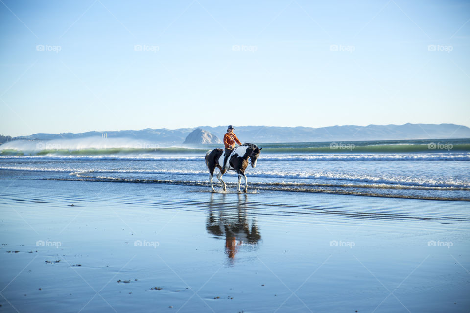 A girls and her horse