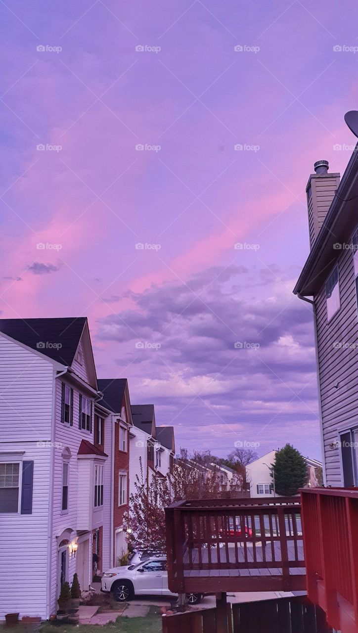 Just your usual backyard!
in love with the color purple.