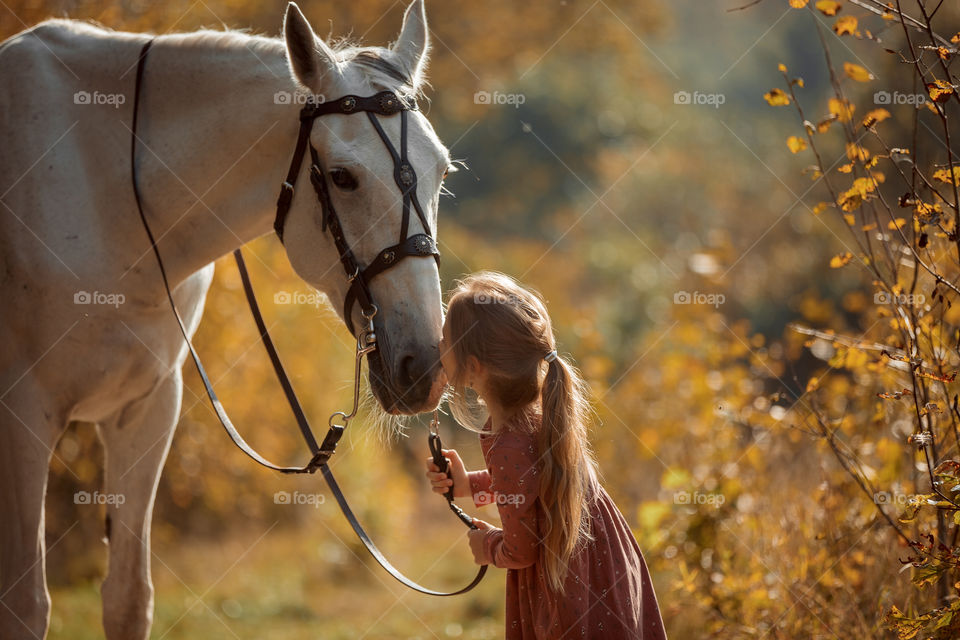 Little girl with grey horse in an autumn park 