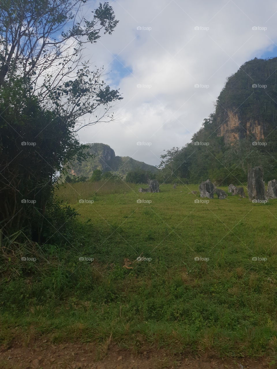 Viñales