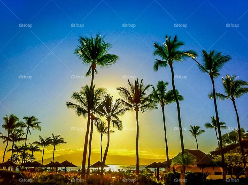 Sunset at Black Rock