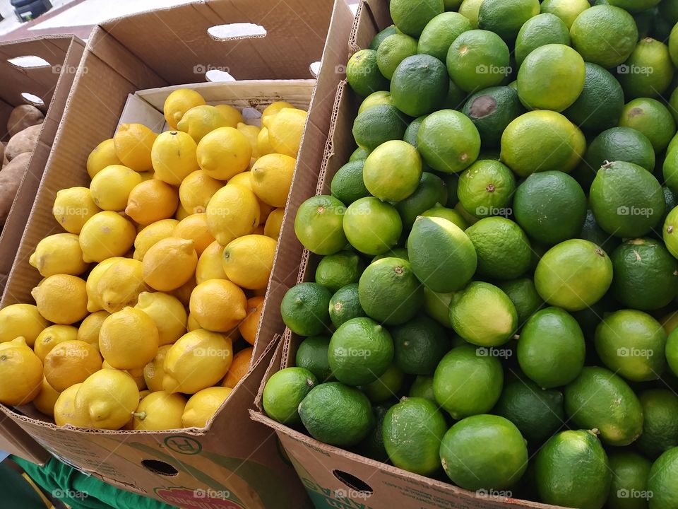 Citrus at Farmers Market stand