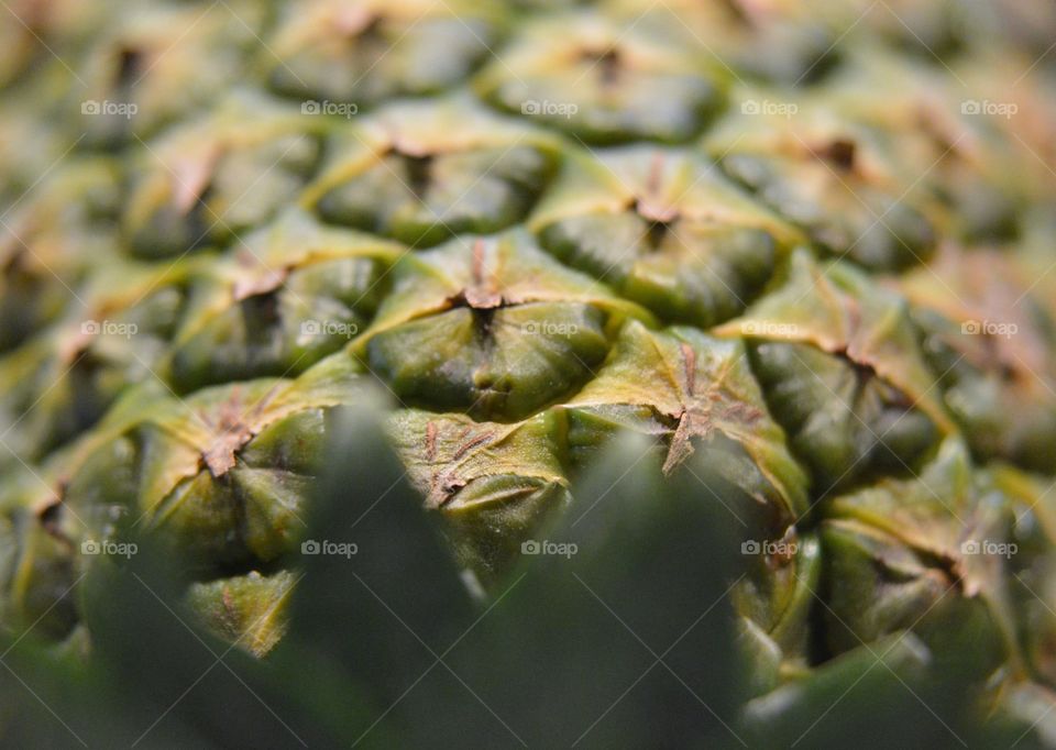 Extreme close up of pineapple