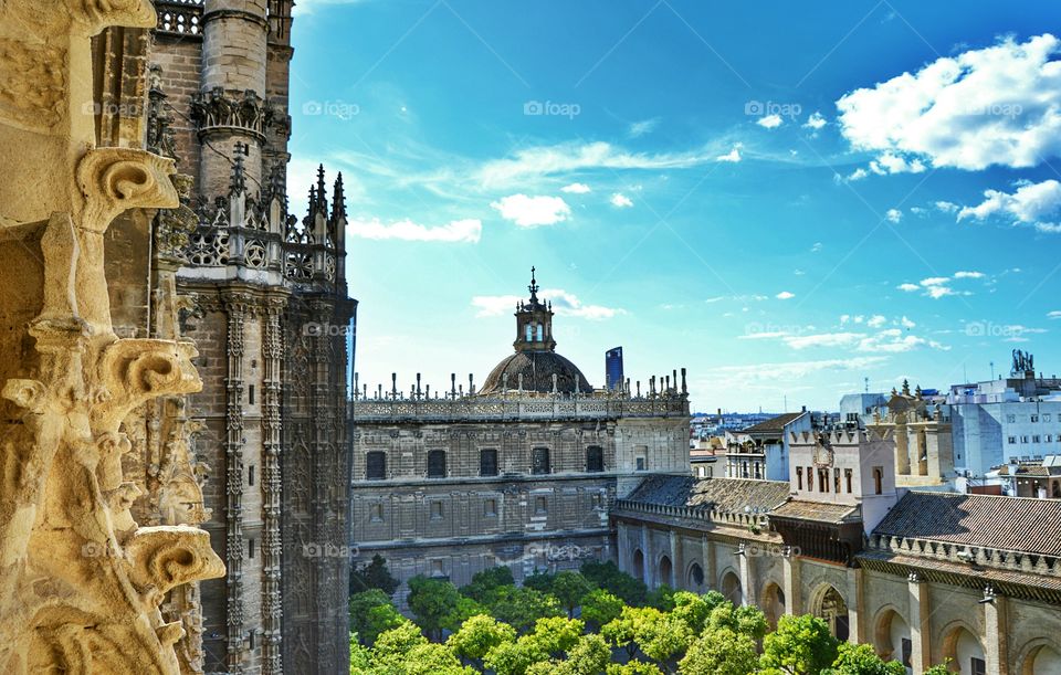 Patio de los Naranjos. View of Patio de los Naranjos and the cathedral from Giralda Tower, Sevilla