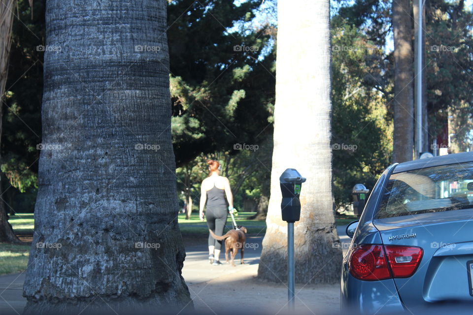 photo stories in my city