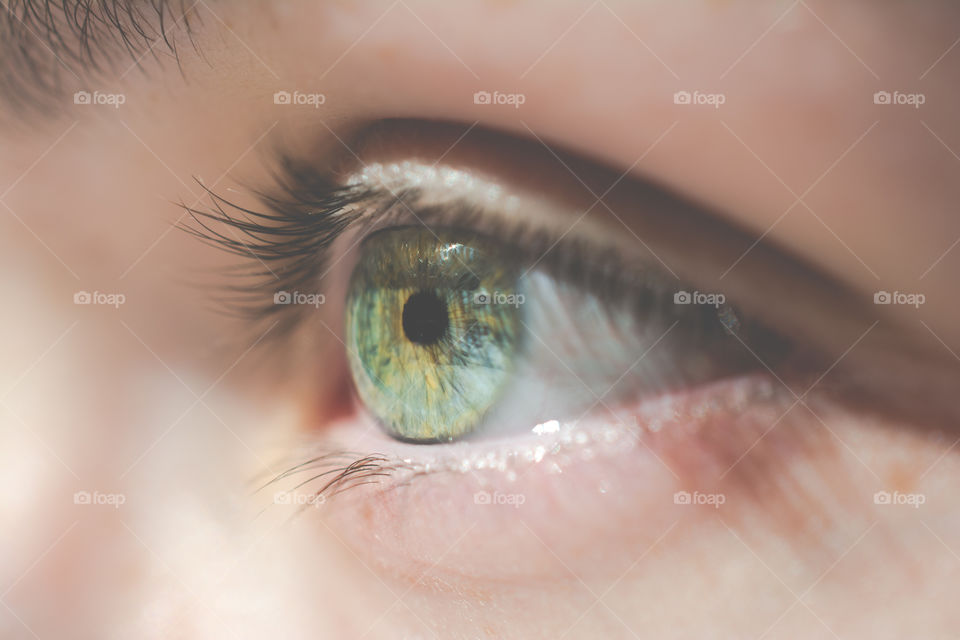 Macro of Green Eye Iris Close Up