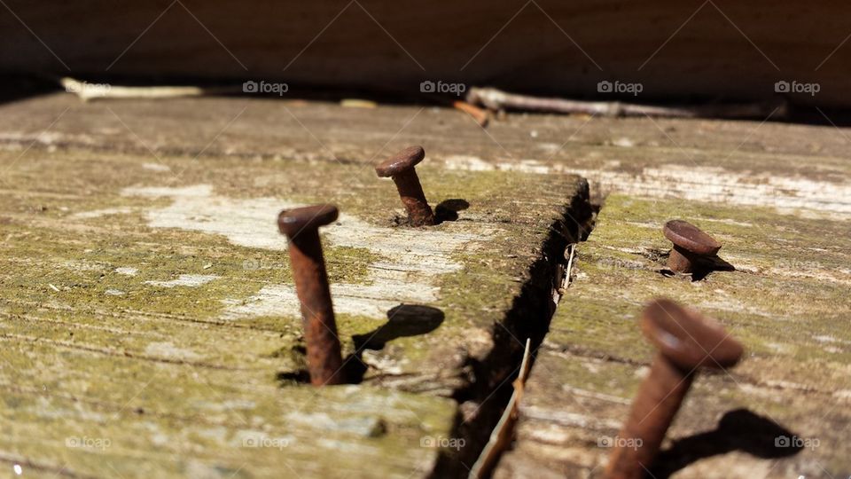 rusty nails in wood