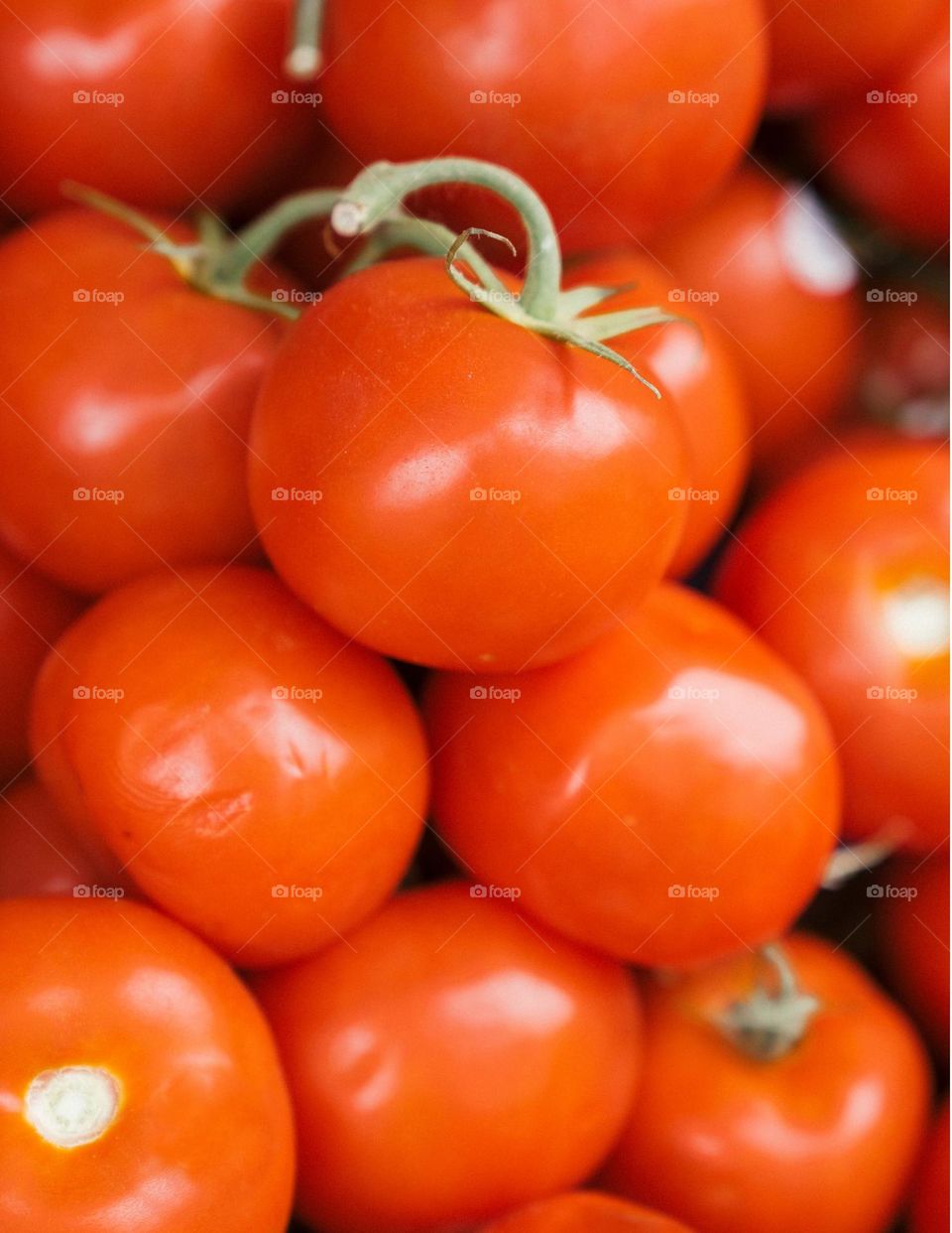 Tomatoes