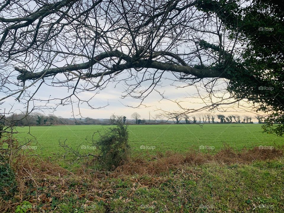 Best of 2021: Nature 