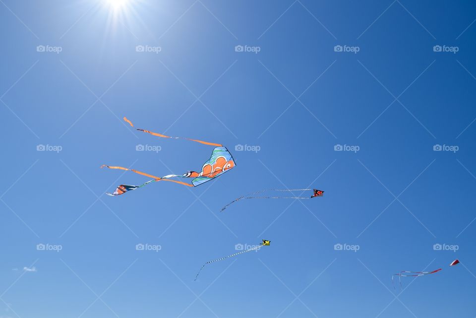 Low angle view of kite