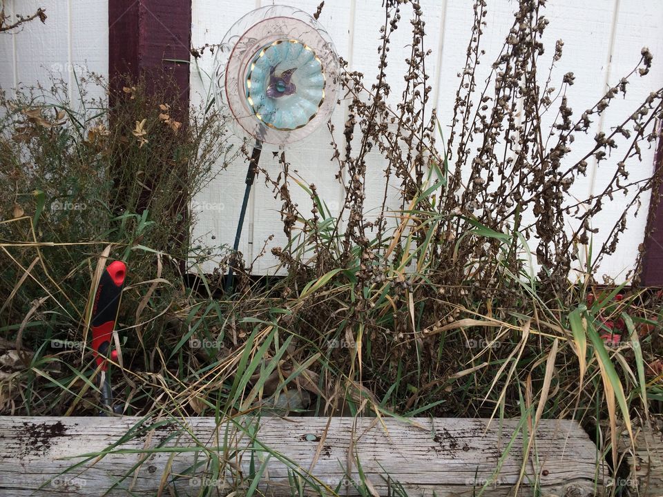 Where are the flowers?