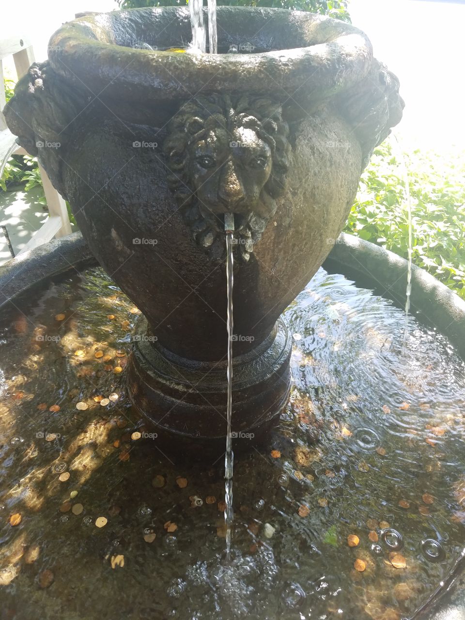 Water Fountain at Hicks Nurseries on Long Island, NY: September 2017