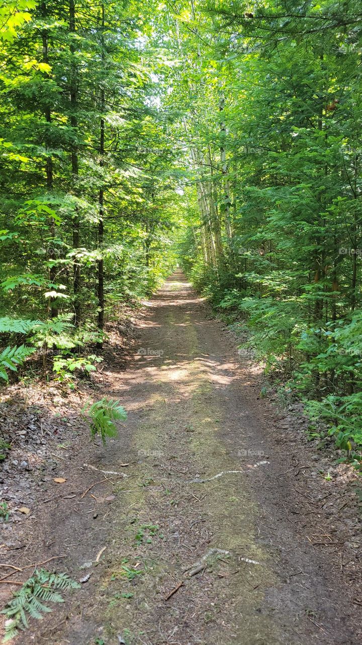 South Manitou Island Trail