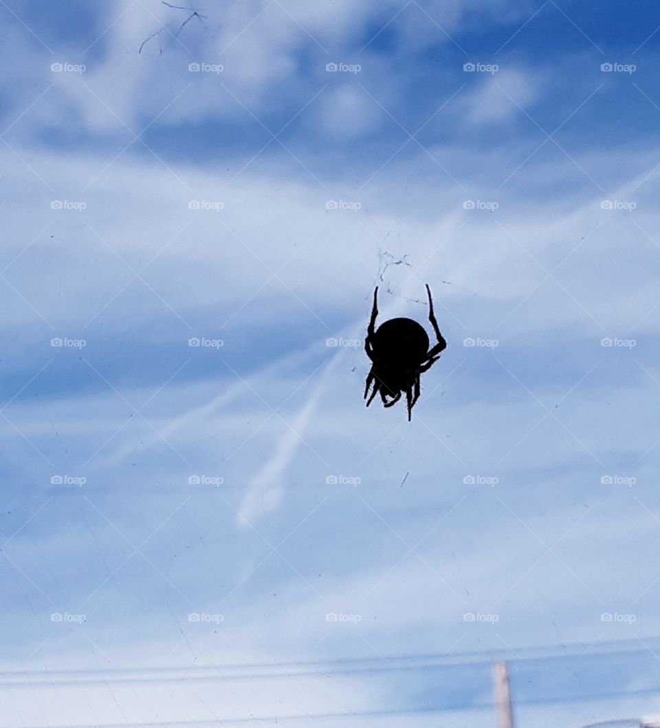 spidey in the sky