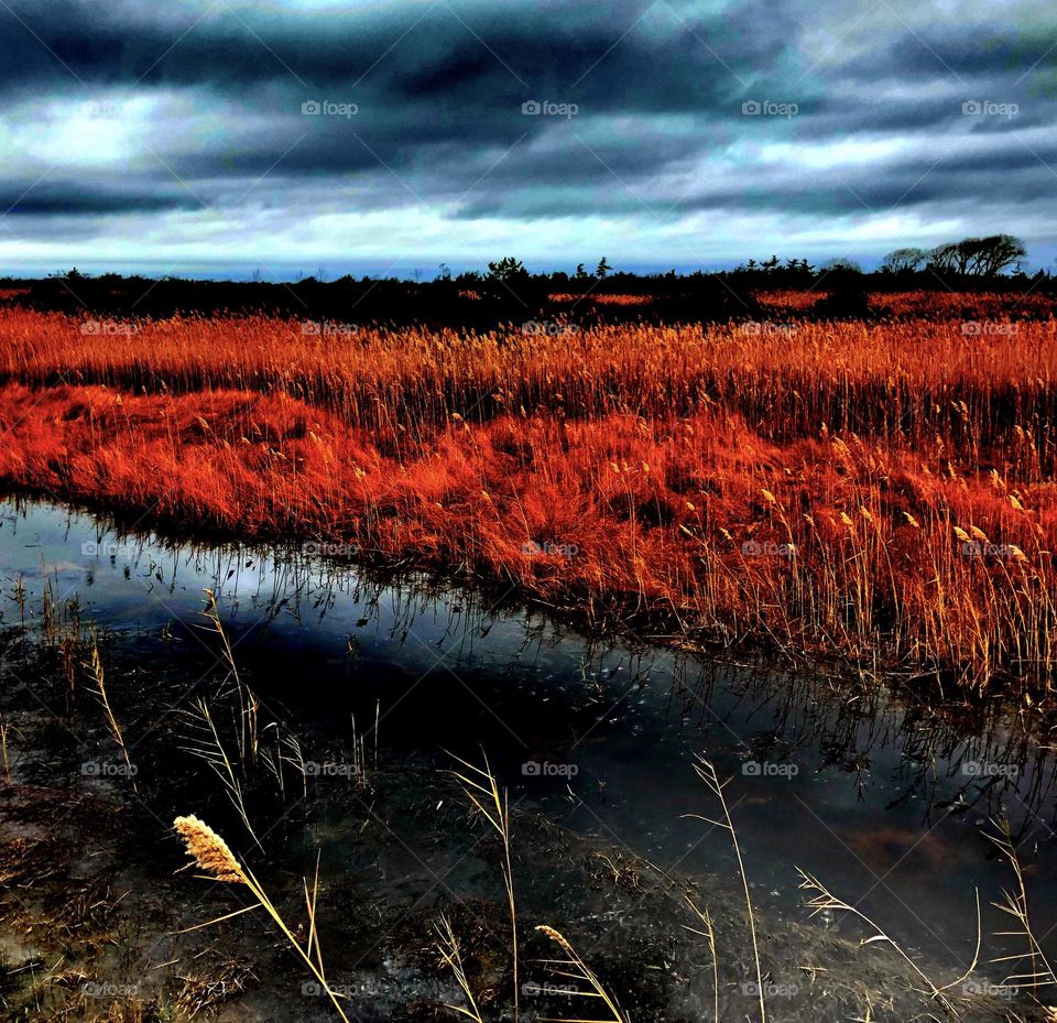 Colorful seaside landscape in New York, moody water, cloudy skies over a seaside, seaside landscape 