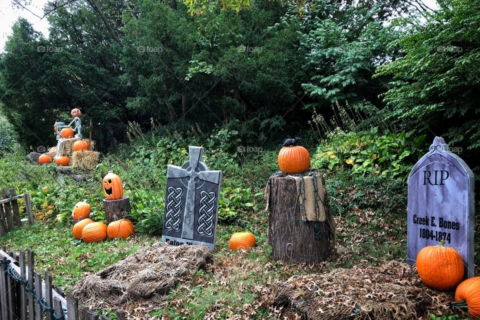 Halloween cemetery 