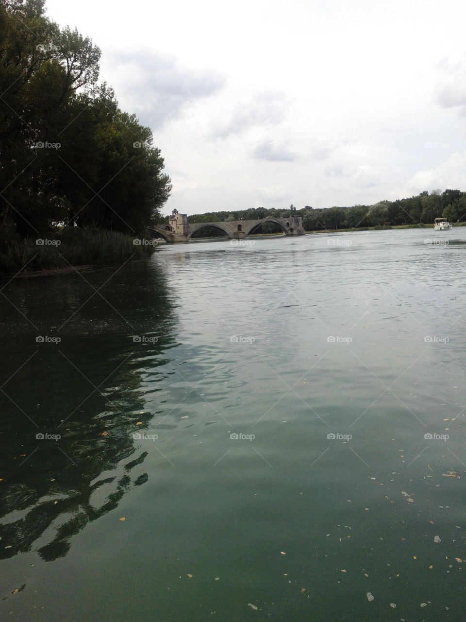 Le pont d'avignion