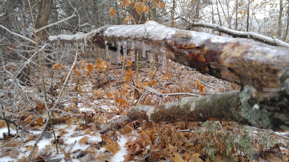Winter Ice Storm