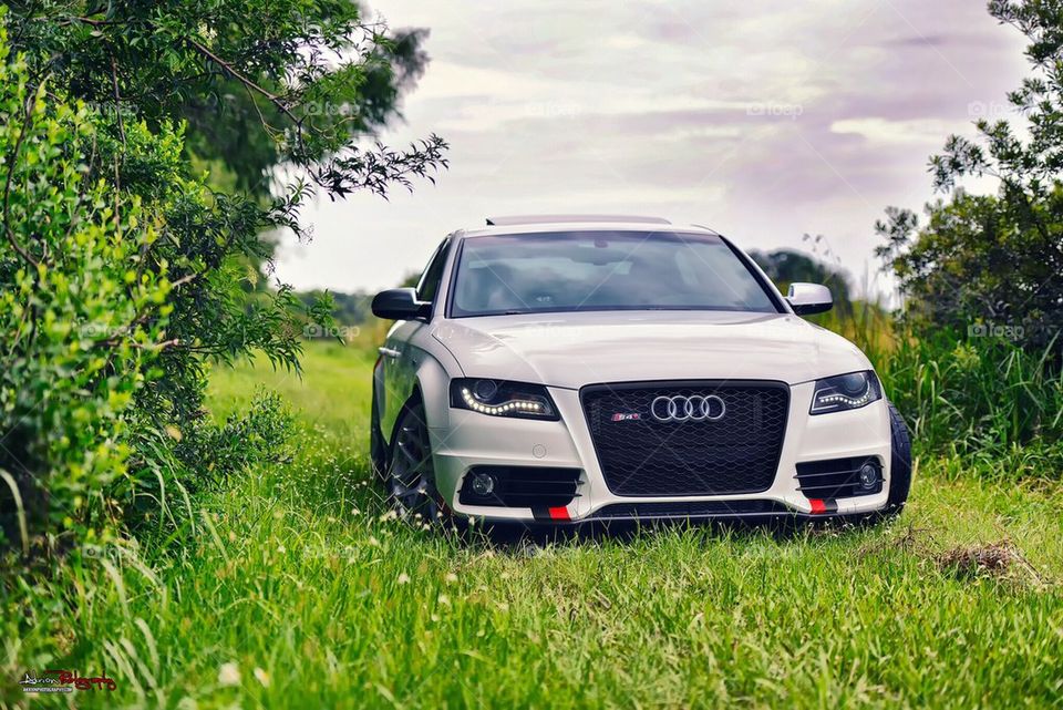 Audi in the park