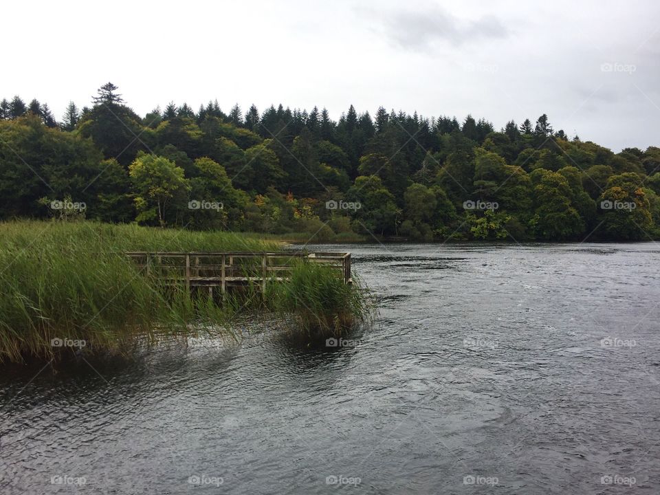 Water, River, Landscape, Lake, Tree