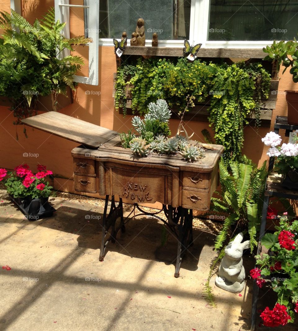 Old sewing machine as flowerpot