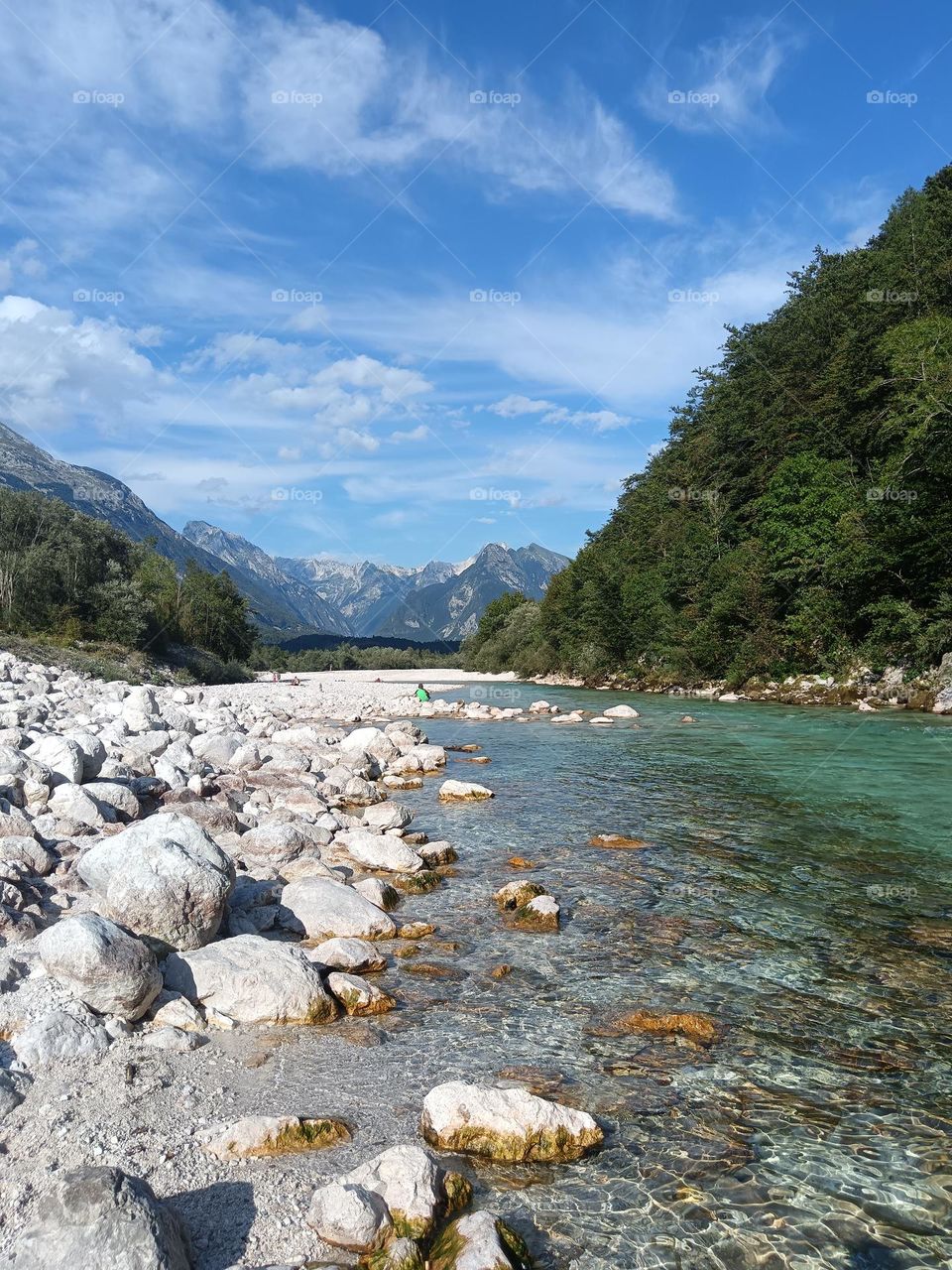 Socha river and the alps behind