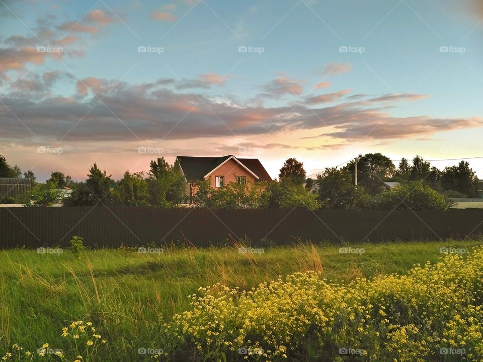 лето, вечер, поселок,крыши домов, голубое небо,серо-голубые облака,трава, жёлтые цветы, зелень, деревья.