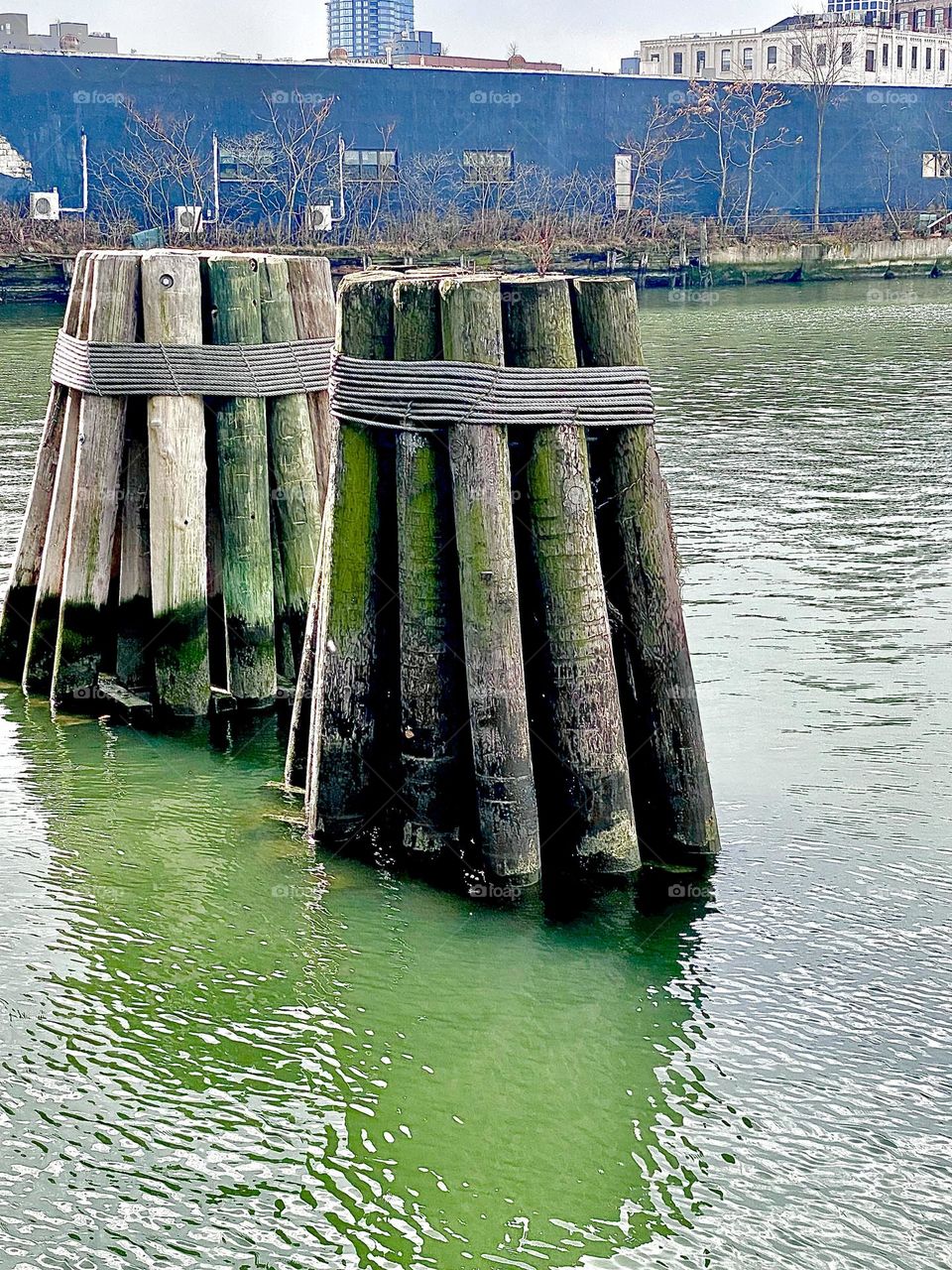 Wooden pilings in the water of the East River at about 20 feet from the Pulaski Bridge at Newtown Creek in Long Island City, Queens, NY. 2021. Hypnotic Productions