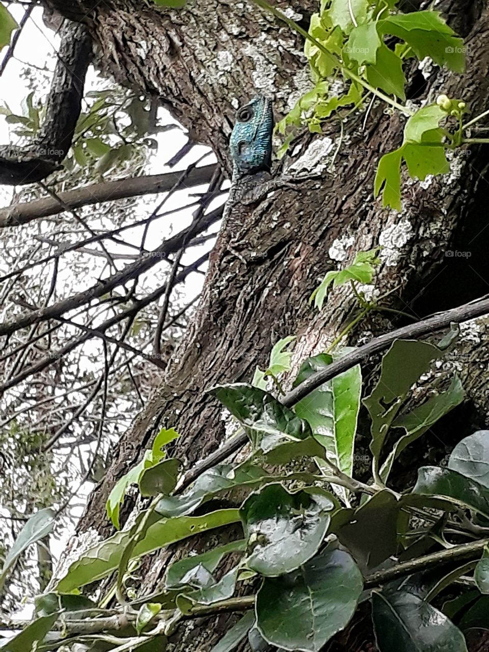 Have you seen the difference