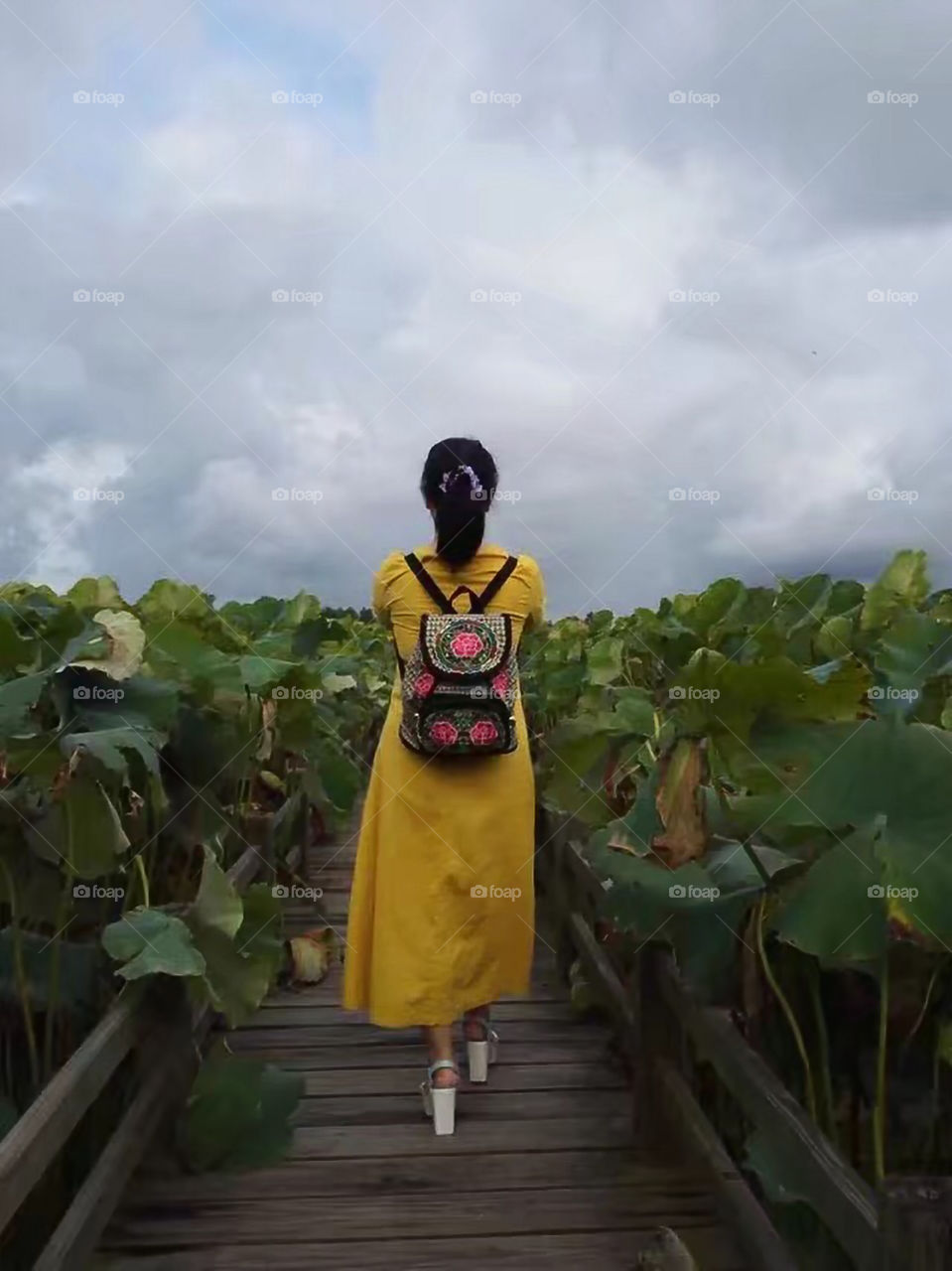 There are many lotus flowers in summer. 