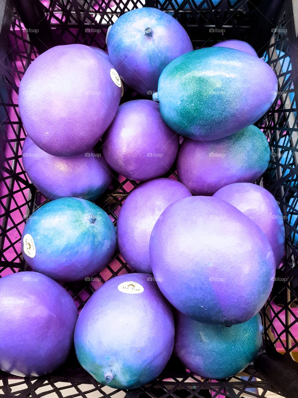 Unusual violet and blue mangoes. Just flight of fantasy. New vision of usual fruits, add some new colours and get absolutely new kind of fruit!