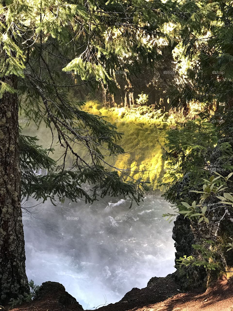 A view of the rushing waters of the McKenzie River in the mountains of Western Oregon close after its drop over Sahalie Falls on a sunny fall day. 