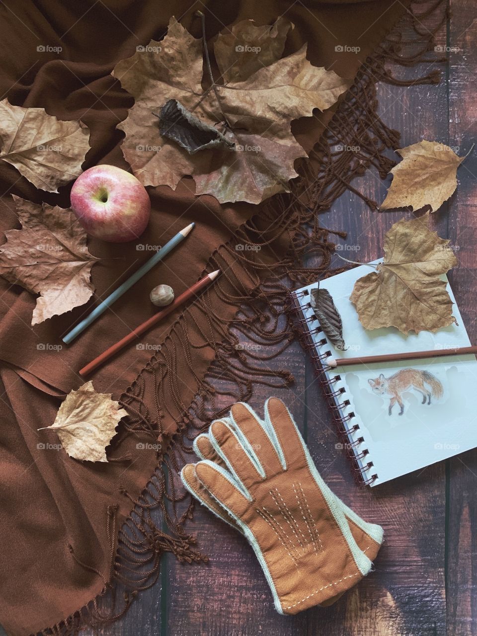 Autumn flat lay of cinnamon-colored, fringed pashmina, suede gloves, sketch of a fox in a spiral bound sketch book, colored pencils, dry leaves, and a red apple on wooden surface