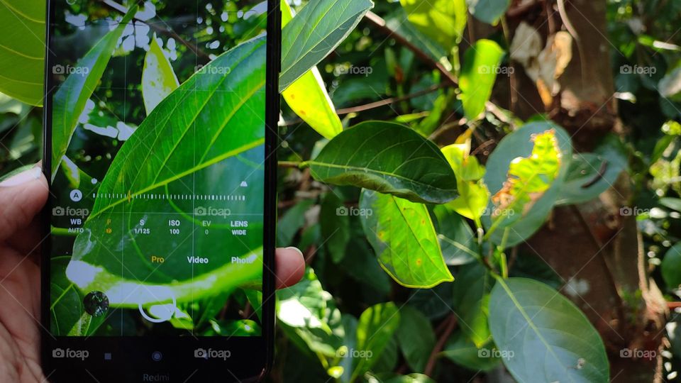 Clicking a picture with mobile camera, adjusting mobile camera settings