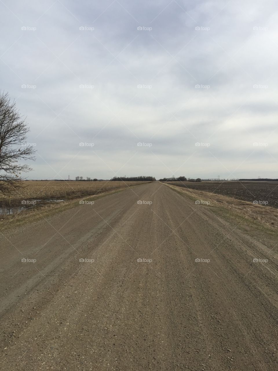 No Person, Landscape, Road, Sky, Outdoors