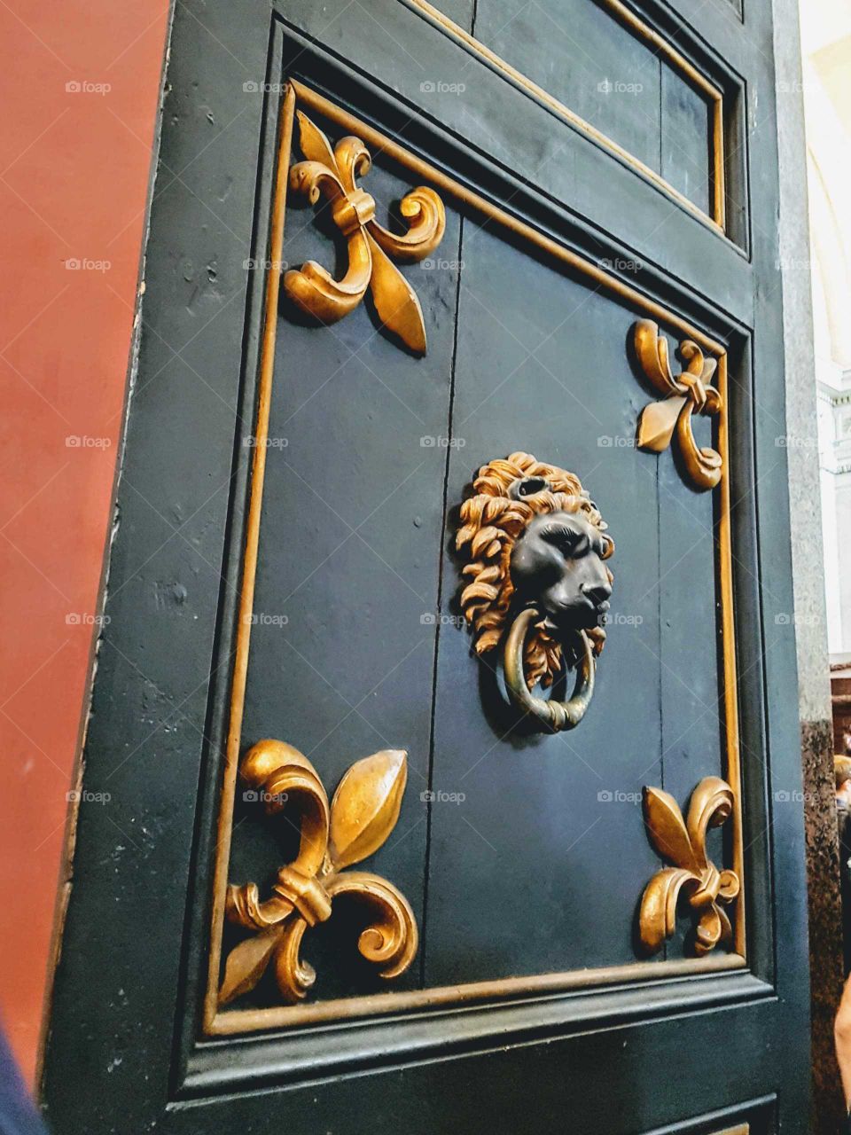 Vatican Door