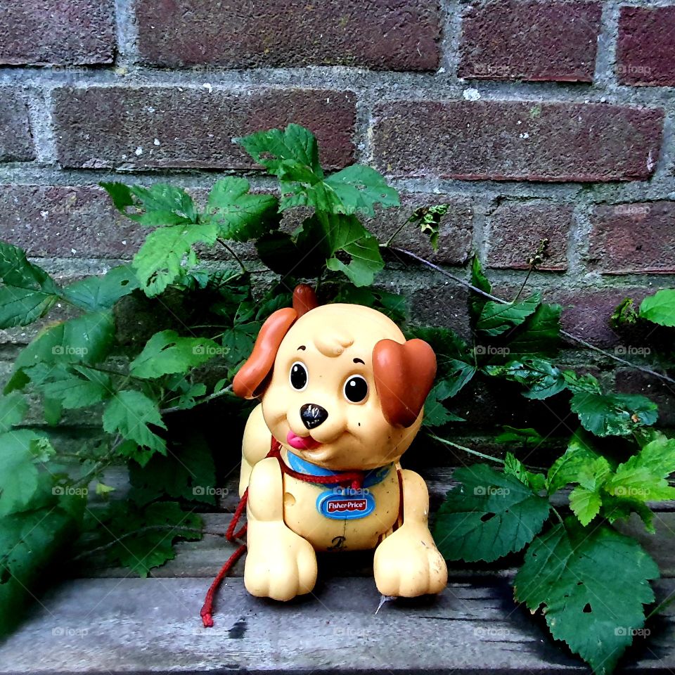 Fisher Price toys for children