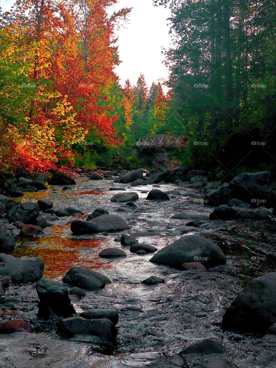 ππ ππ πππ ππππππππ πππ’π, π π ππππππππ πππππππ.