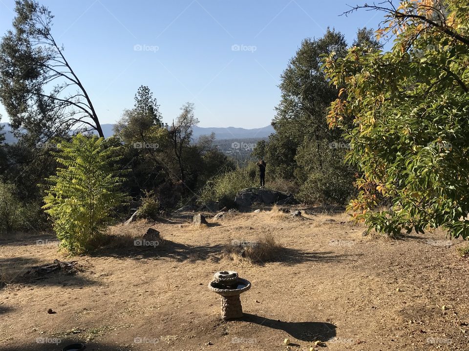 Mountain View with bird feeder. 