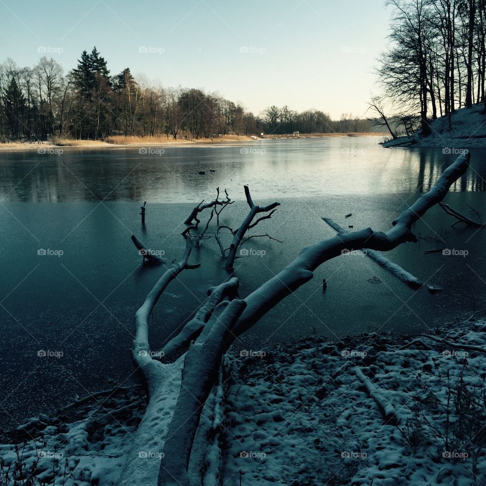 Water, Lake, Reflection, Tree, River