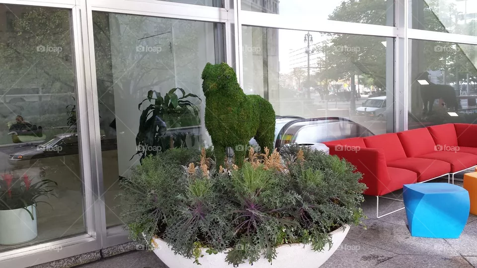 planter