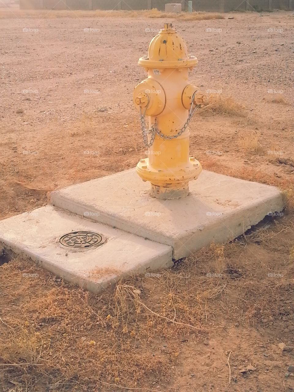 View of fire hydrant