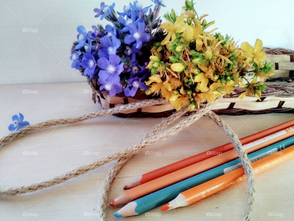 blue x orange by foaр missions,blue and orange flowers