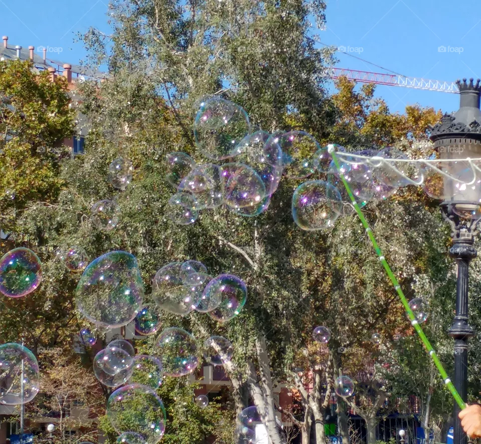 bubble