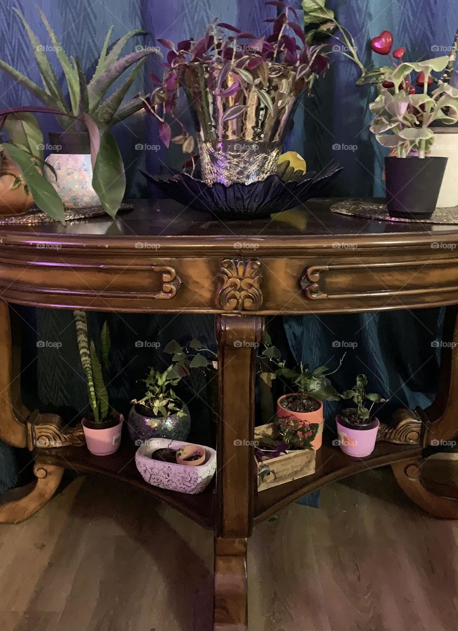 Beautiful wood table with plants 