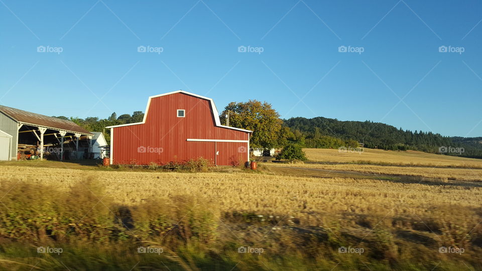 barn