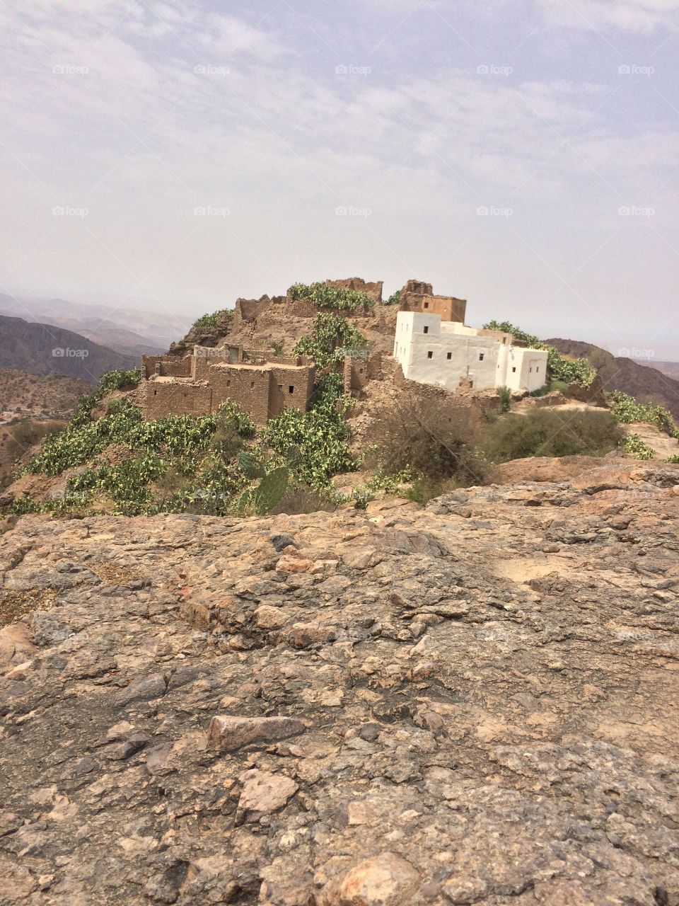 Tamazight 