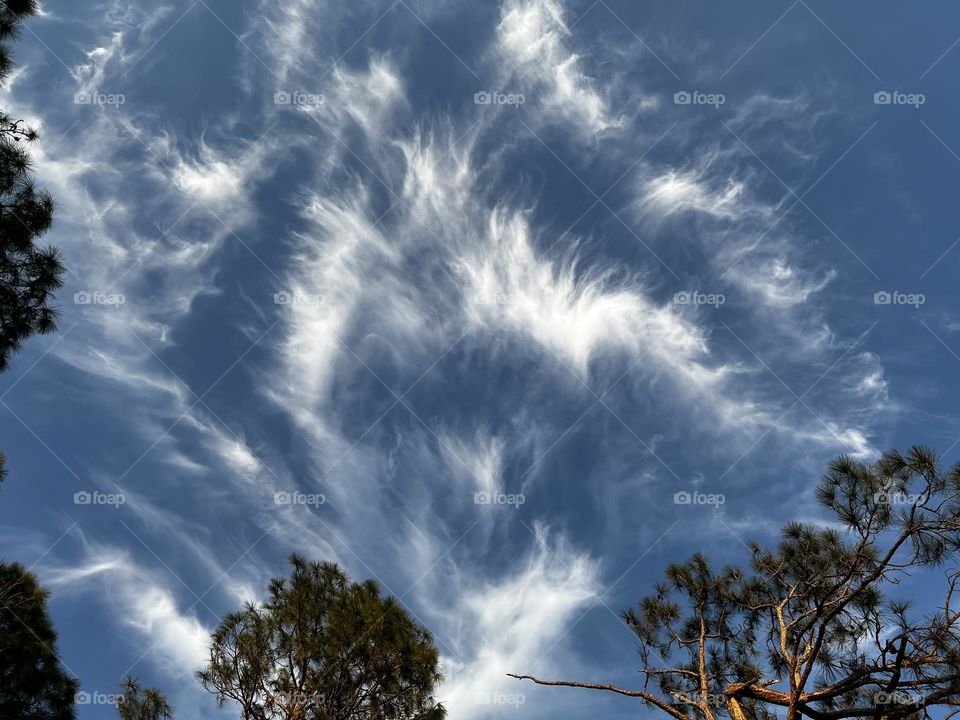 Beautiful cloudscape.
