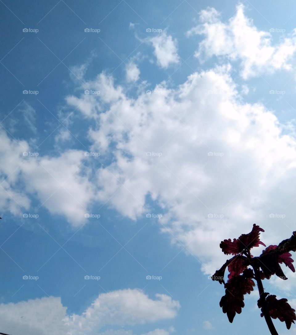 there is beauty in simplicity..❤️