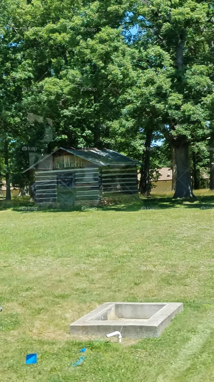 accidental cabin